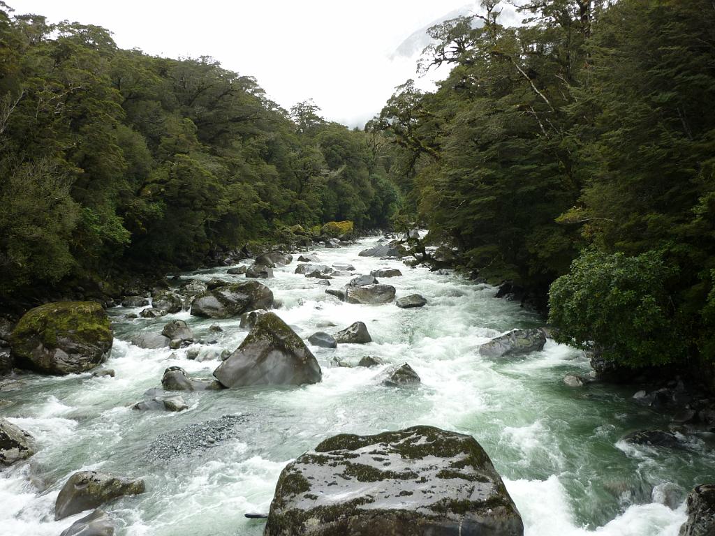 New_Zealand (540).JPG
